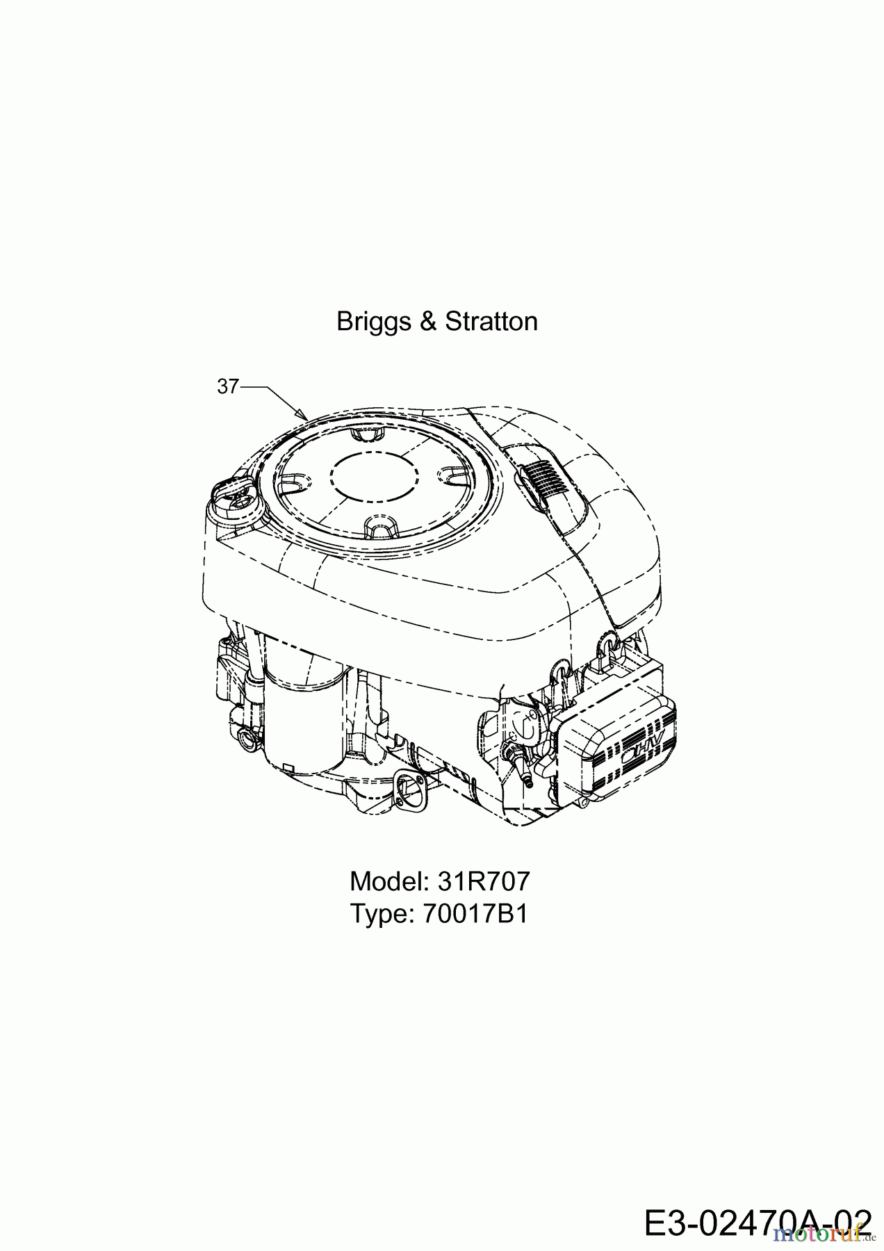Wolf-Garten Rasentraktoren Select 107.175 T 13TN77RG650 (2014) Motor Briggs & Stratton