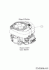 Massey Ferguson MF 38-13 ST 13HY77GF695 (2014) Ersatzteile Motor Briggs & Stratton