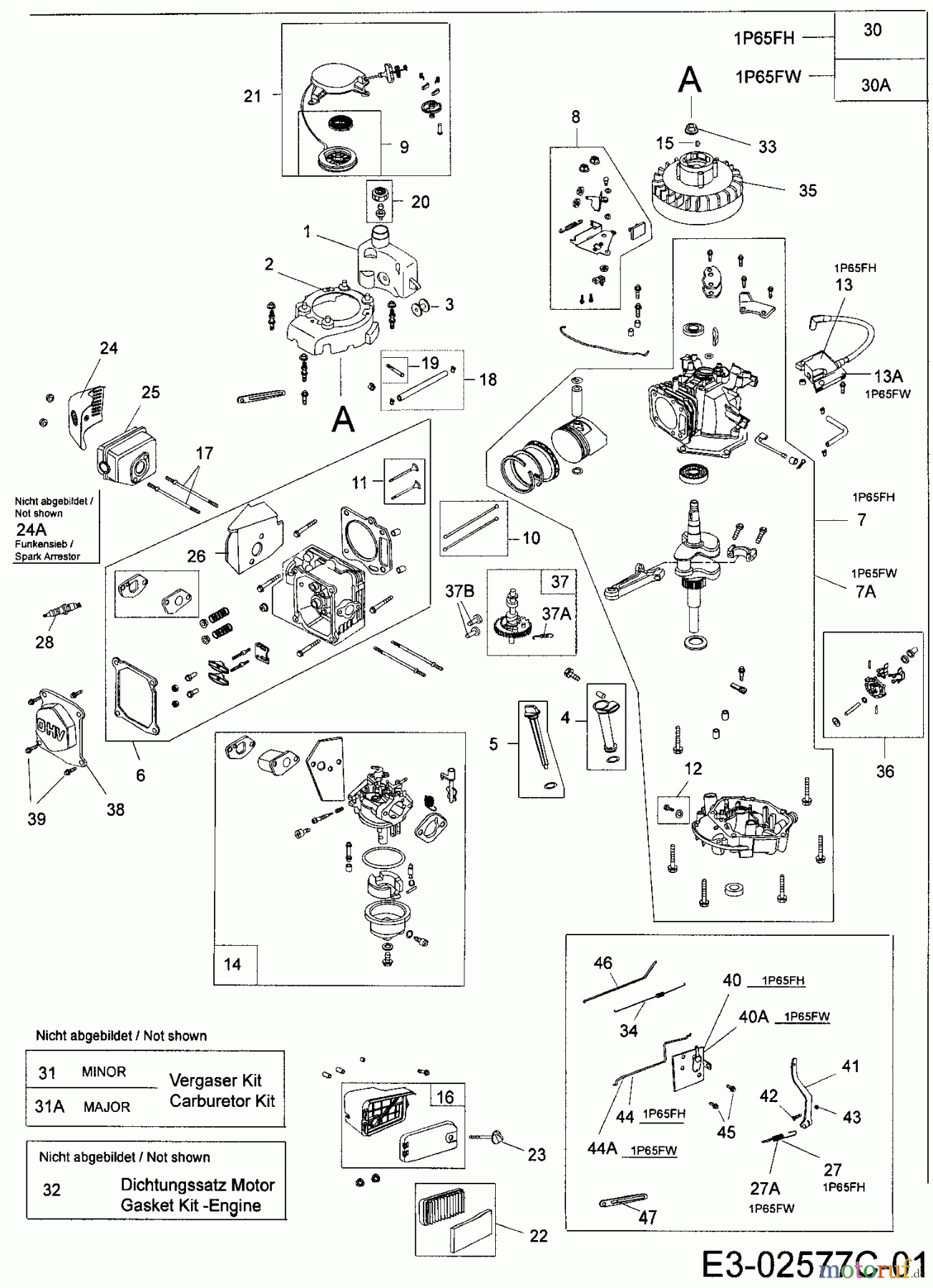 MTD-Motoren Vertikal 1P65FW 752Z1P65FW (2006) Motor