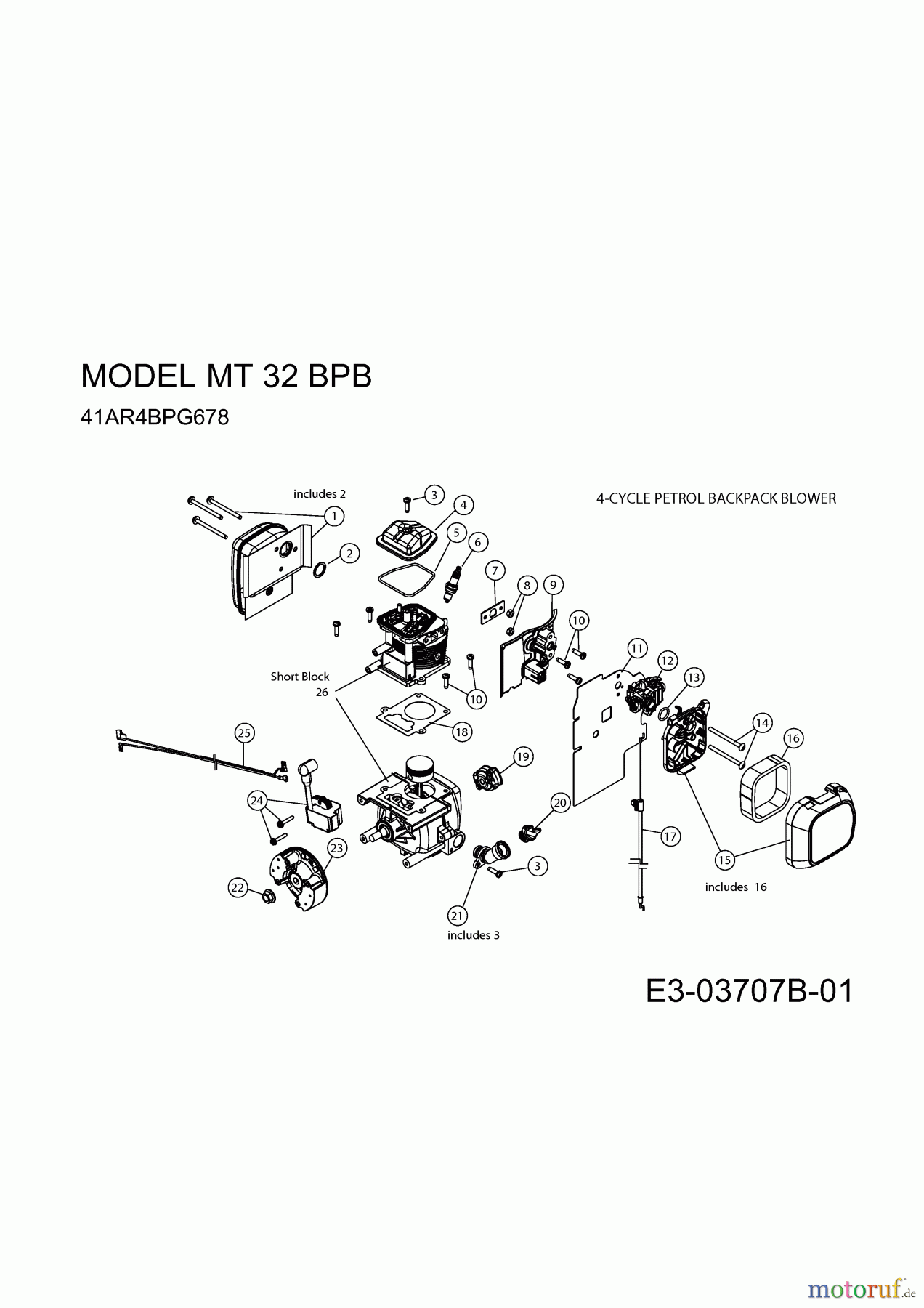  MTD Laubläser, Laubsauger MT 32 BPB 41AR4BPG678  (2010) Motor