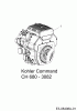 Cub Cadet GTX 2100 14A-3GE-603 (2013) Ersatzteile Motor Kohler