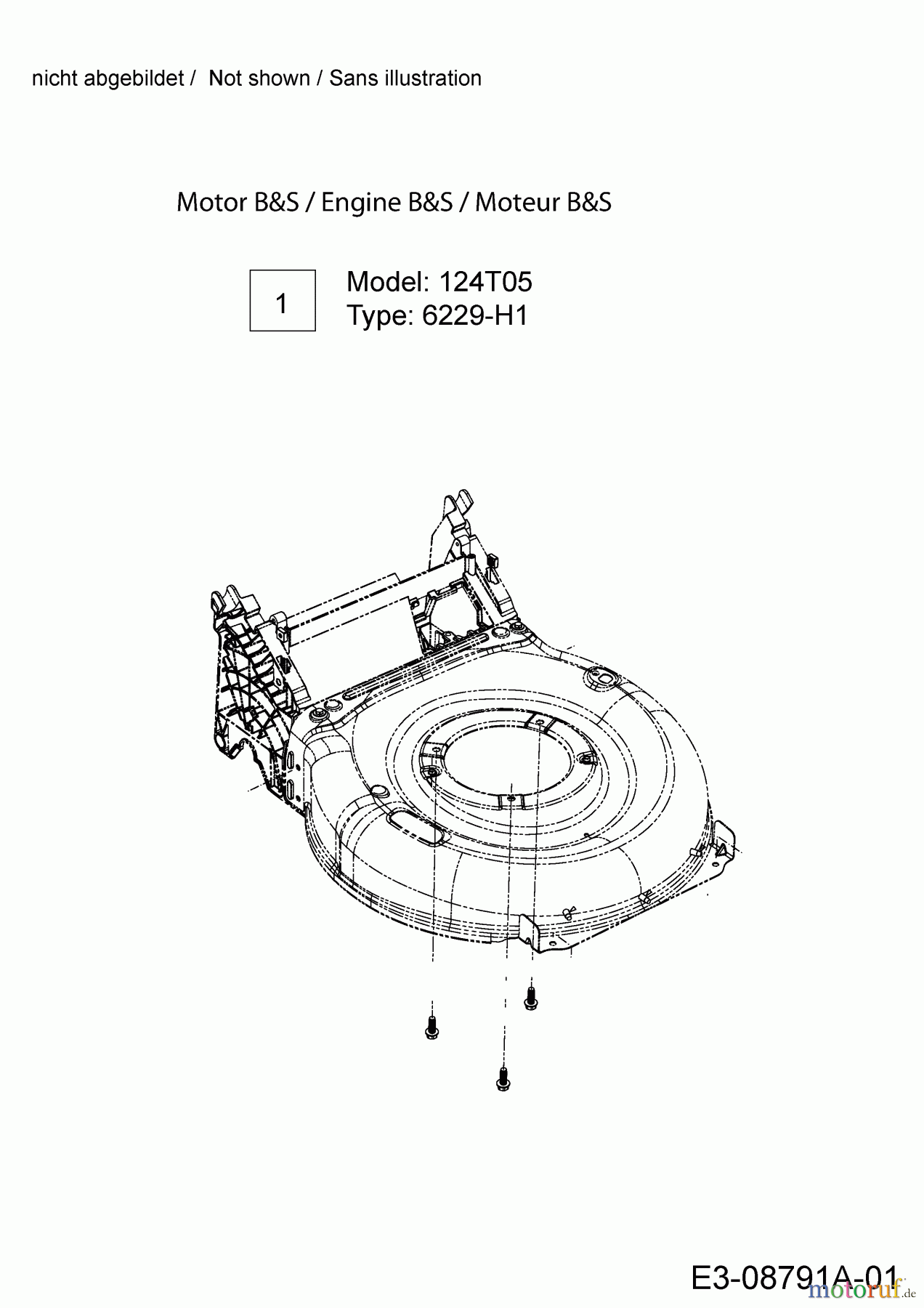 Mr.Gardener Motormäher mit Antrieb HW 53 BAV-ES 12AGPN8U629 (2014) Motor Briggs & Stratton