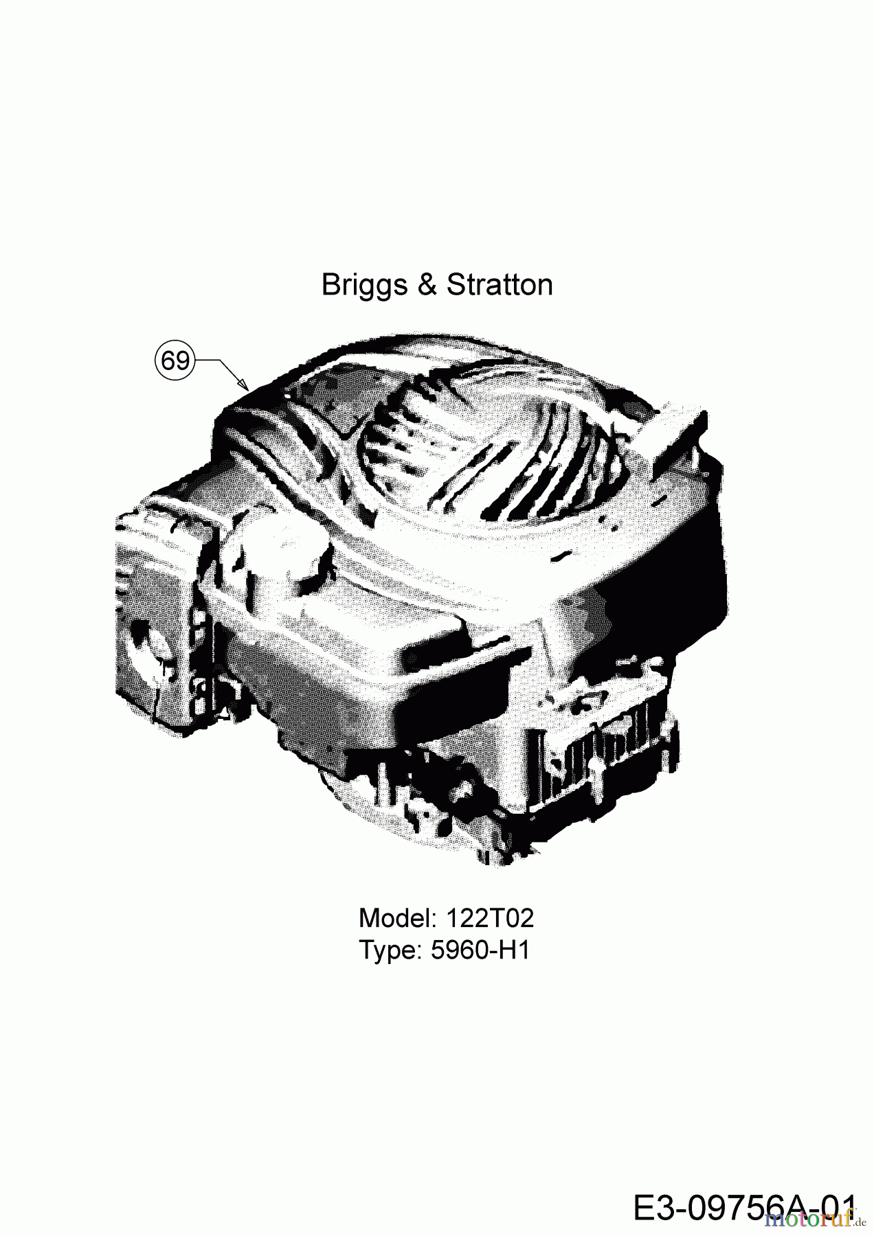 MTD Motormäher mit Antrieb SP 53 SB 12A-PY8R600 (2017) Motor Briggs & Stratton