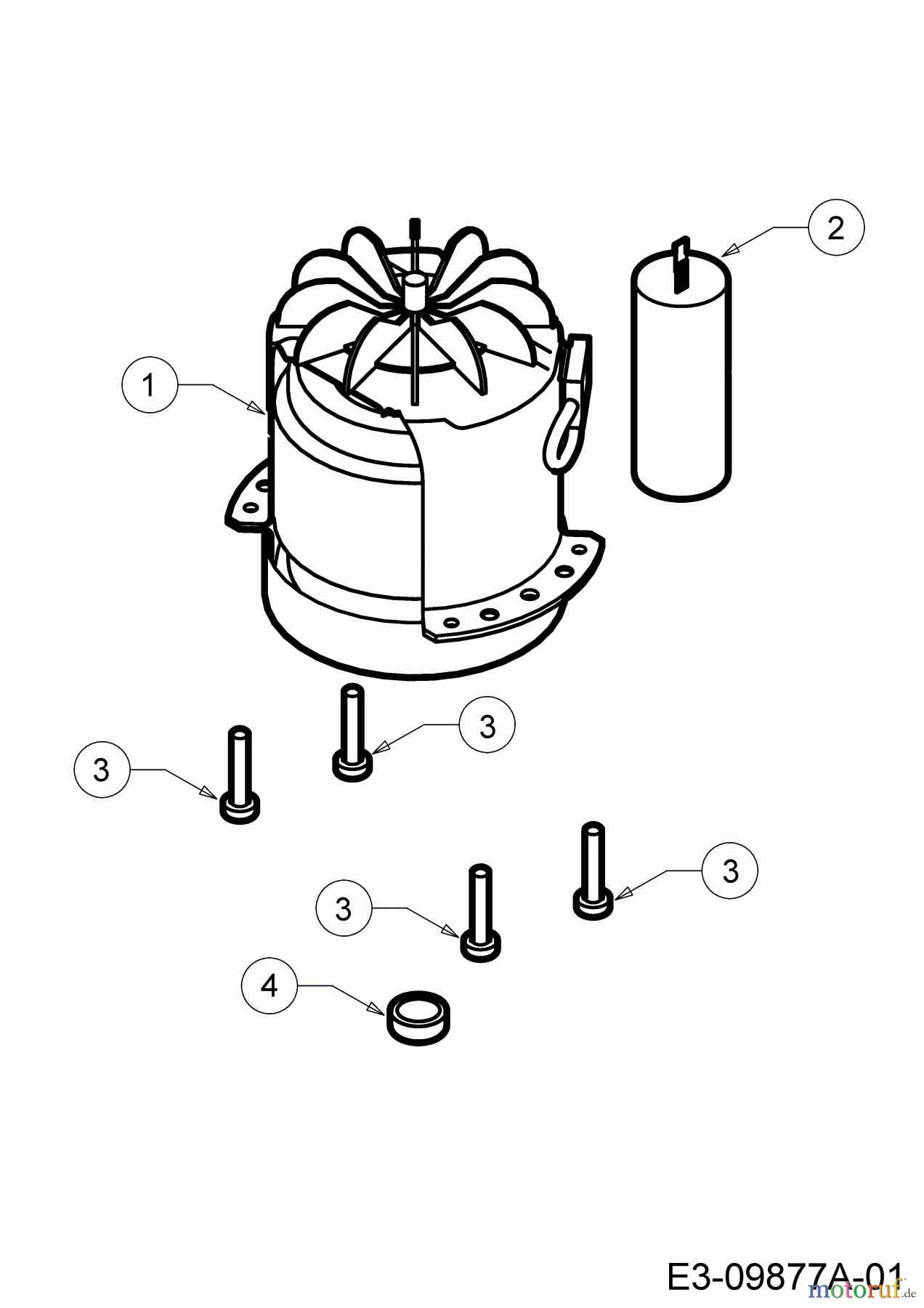 WOLF-Garten Expert Elektromäher Expert 37 E 18AWG1H-650 (2013) Elektromotor