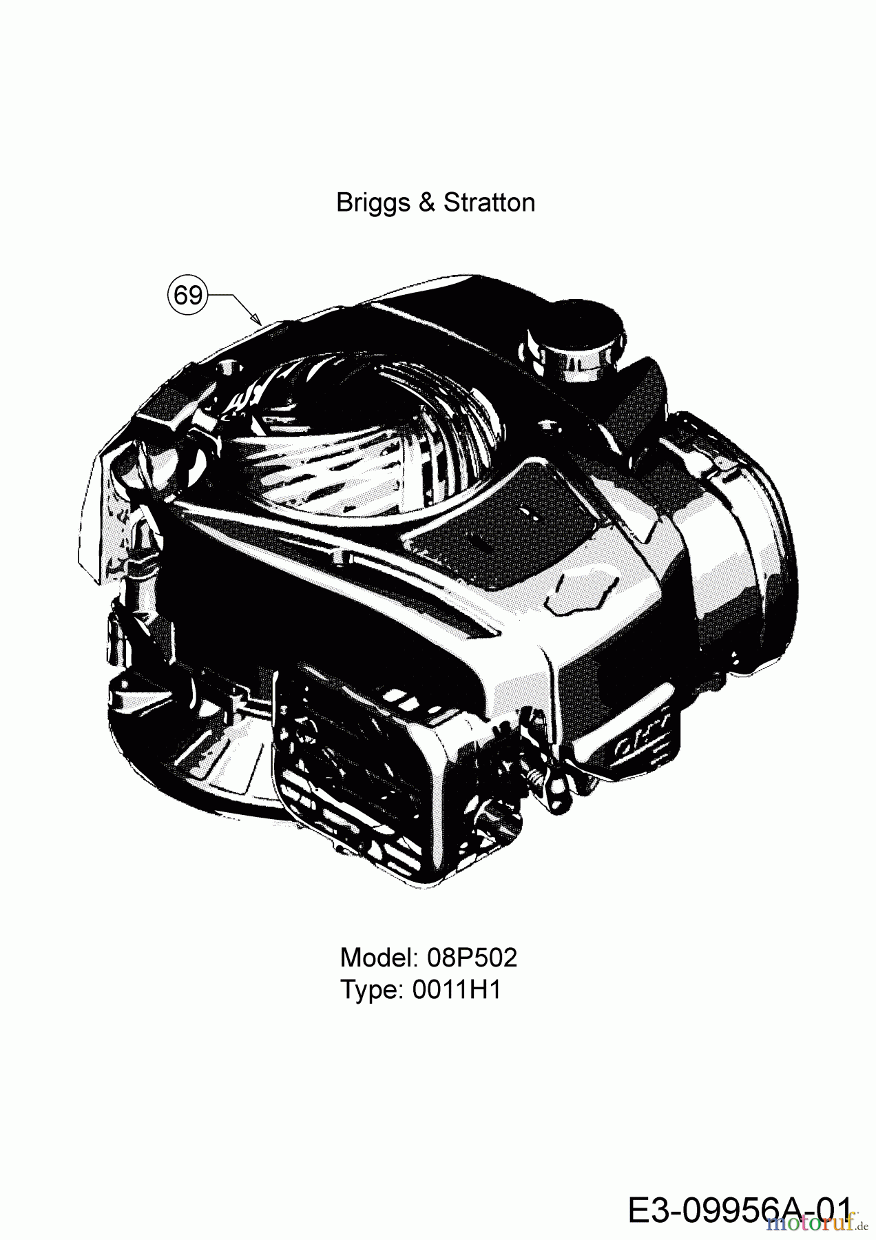 MTD Kantenschneider 550 G 25A-550G678 (2017) Motor Briggs & Stratton