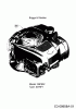 Troy-Bilt TB 554 25B-554M766 (2016) Ersatzteile Motor Briggs & Stratton
