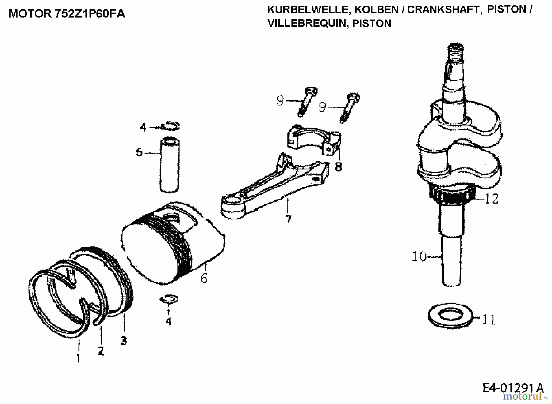 MTD-Motoren Vertikal 1P60FA 752Z1P60FA (2005) Kurbelwelle
