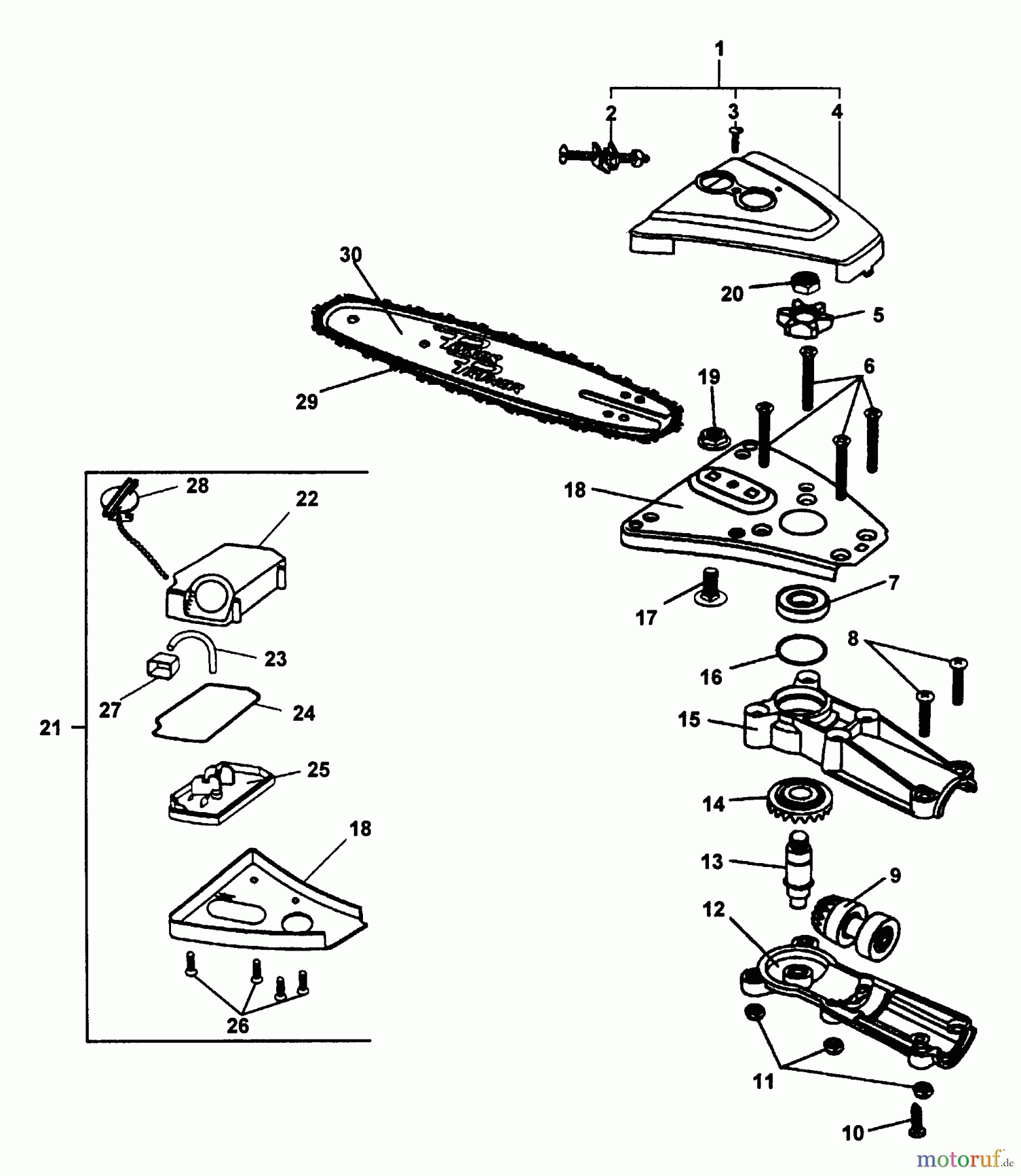Echo Hochentaster PP-800 - Echo Pole Saw / Pruner (Type 1) Gearcase, Oiler Asy, Guide Bar, Chain