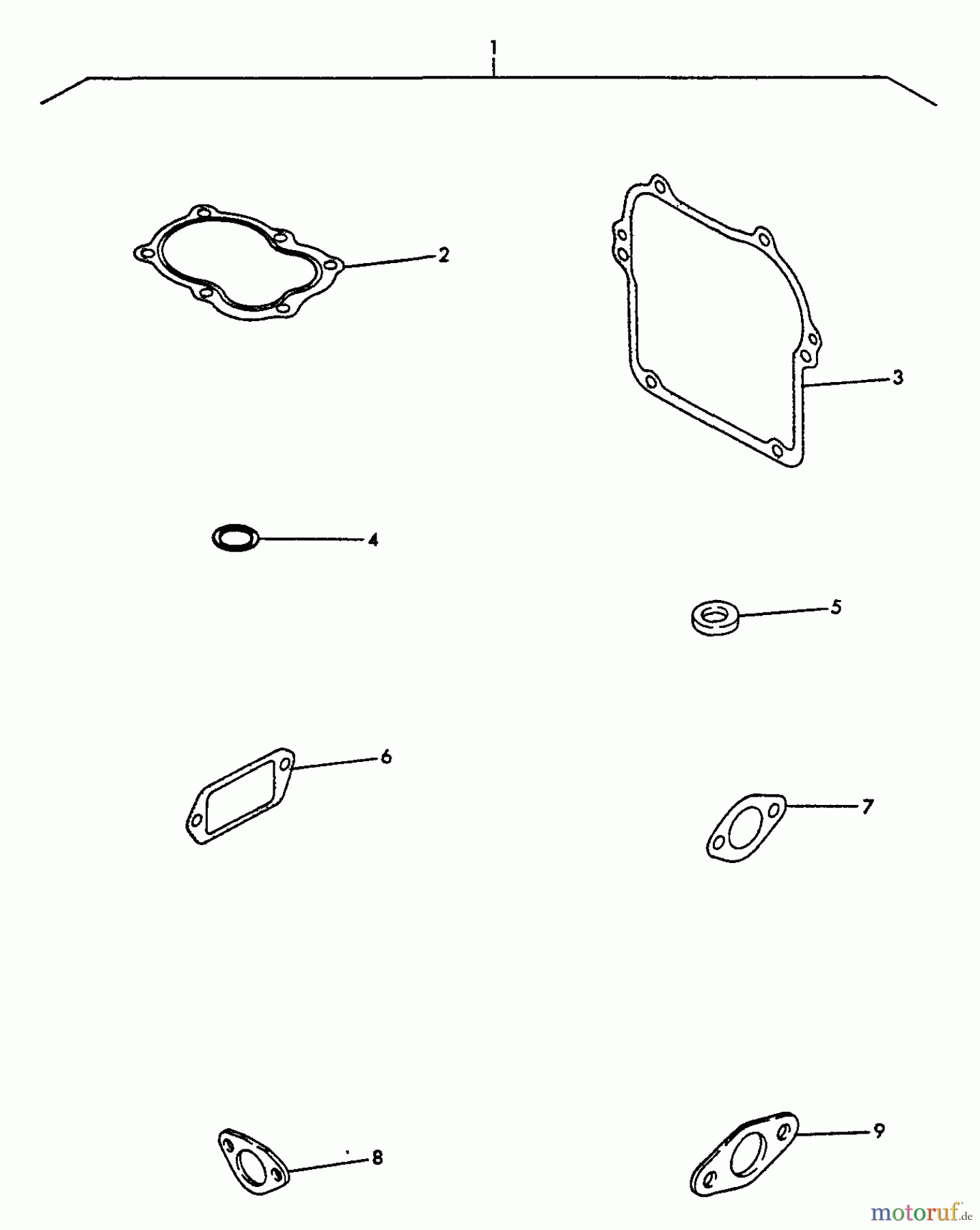 Echo Wasserpumpen WP-1500 - Echo Water Pump, S/N: 02432 - 99999 Gasket Kit