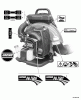 Echo PB-750H - Back Pack Blower, S/N: 07001001 - 07999999 Ersatzteile Labels