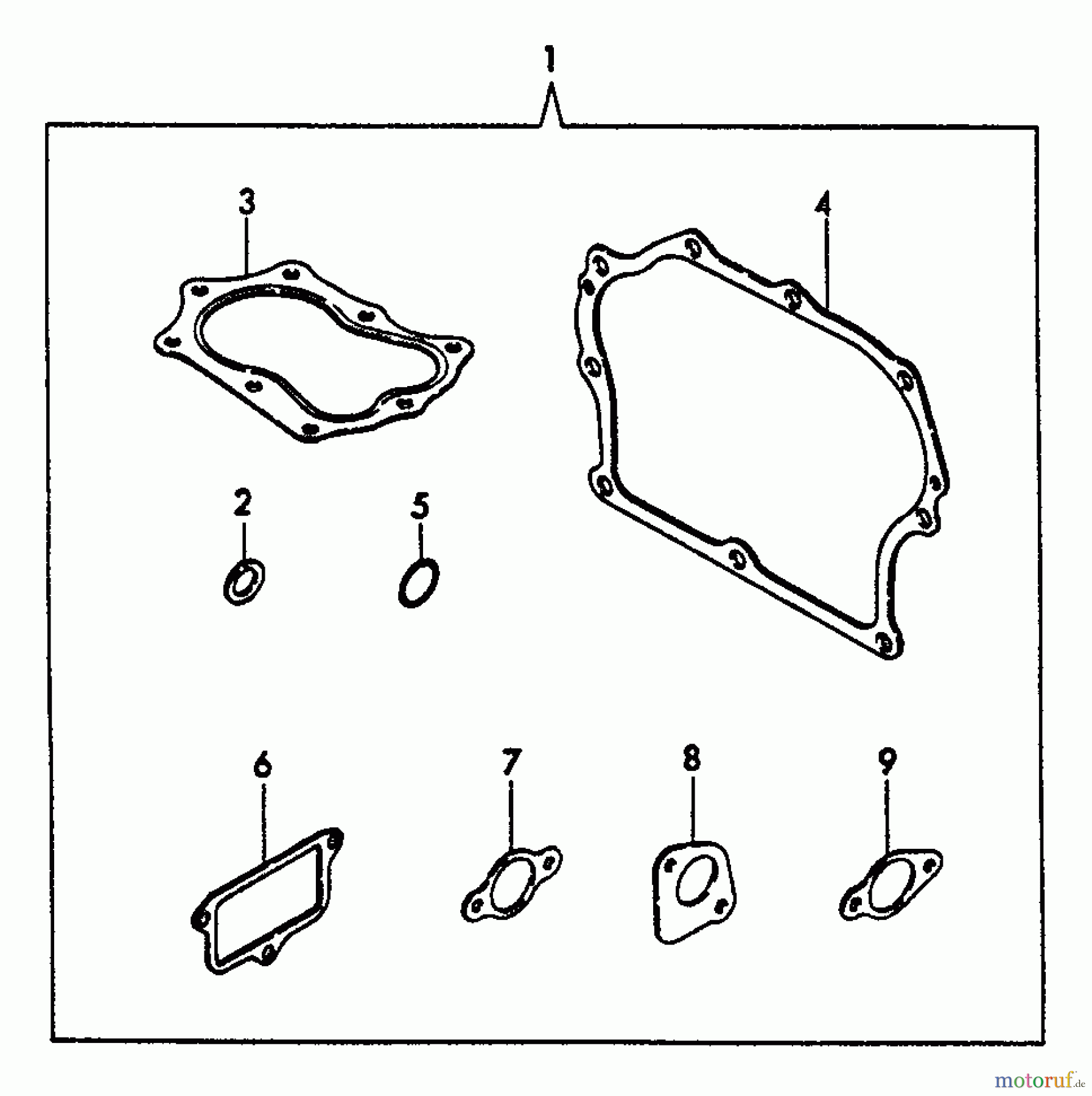 Echo Stromerzeuger EG-4300E - Echo Portable Generator Gasket Kit