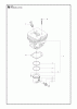 Jonsered FC2255 - String/Brush Trimmer (2011-01) Ersatzteile CYLINDER PISTON