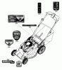 Murray BTXP22700HW (7800743) - Brute 22" Walk-Behind Mower (2011) Ersatzteile Decals Group (7502208)
