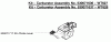 Poulan / Weed Eater 31WG - Weed Eater WeedN Go String Trimmer Ersatzteile Kit - Carburetor Assembly