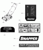 Snapper ESPV21675 (7800688) - 21" Walk-Behind Mower, 6.75GT Variable Speed (Export) Ersatzteile Decal Group