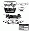 Snapper NFRP216012E (82431) - 21" Walk-Behind Mower, 6 HP, Steel Deck, Series 12 Ersatzteile Decals II