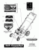Snapper SPV22675HW (7800190) - 22" Walk-Behind Mower, 6.75 HP, High Wheel Ersatzteile Decals