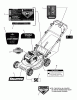 Snapper NSPV2270E (7800781) - 22" Walk-Behind Mower, 7 HP, Steel Deck, Electric Start, California Ersatzteile Decals Group