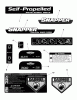 Snapper SPVH21675 (7800441) - 21" Walk-Behind Mower, 6.75 HP, Rear Discharge Ersatzteile Decals