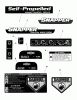 Snapper SPVH2265 (7800440) - 22" Walk-Behind Mower, 6.5 HP, Rear Discharge Ersatzteile Decals