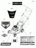 Snapper S19550EX (881544) - 19" Walk-Behind Mower, 5.5 HP, 3-N-1 Push Walk Ersatzteile Decals Group