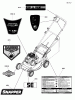 Snapper SP19550EX (881545-00) - 19" Walk-Behind Mower, 5.5 HP, 3-N-1 Self Propelled Walk Ersatzteile Decals Group
