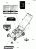 Snapper SPV22725 (7800896) - 22" Walk-Behind Mower, 7.25 HP, Variable Speed Rear Discharge Ersatzteile Decals Group, 22" RWD
