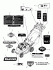 Snapper SPXV2270FC (7800774) - 22" Walk-Behind Mower, 7.0 HP, 3N1 Ersatzteile Decals Group