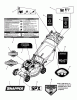 Snapper SPXV22725 (7800832) - 22" Walk-Behind Mower, 7.25 HP, 3N1 Self-Propelled Manual Start Ersatzteile Decal Group
