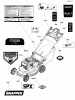 Snapper SPXV22725E (7800830) - 22" Walk-Behind Mower, 7.25 HP, 3N1 Self-Propelled Electric Start Ersatzteile Decals Group - Electric Start