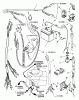 Snapper 7060947 - Bag N-Wagon, 30 Bushel 421615TVE Rear Engine Rider Series 15 Ersatzteile Electrical Systems For 16 HP Tecumseh