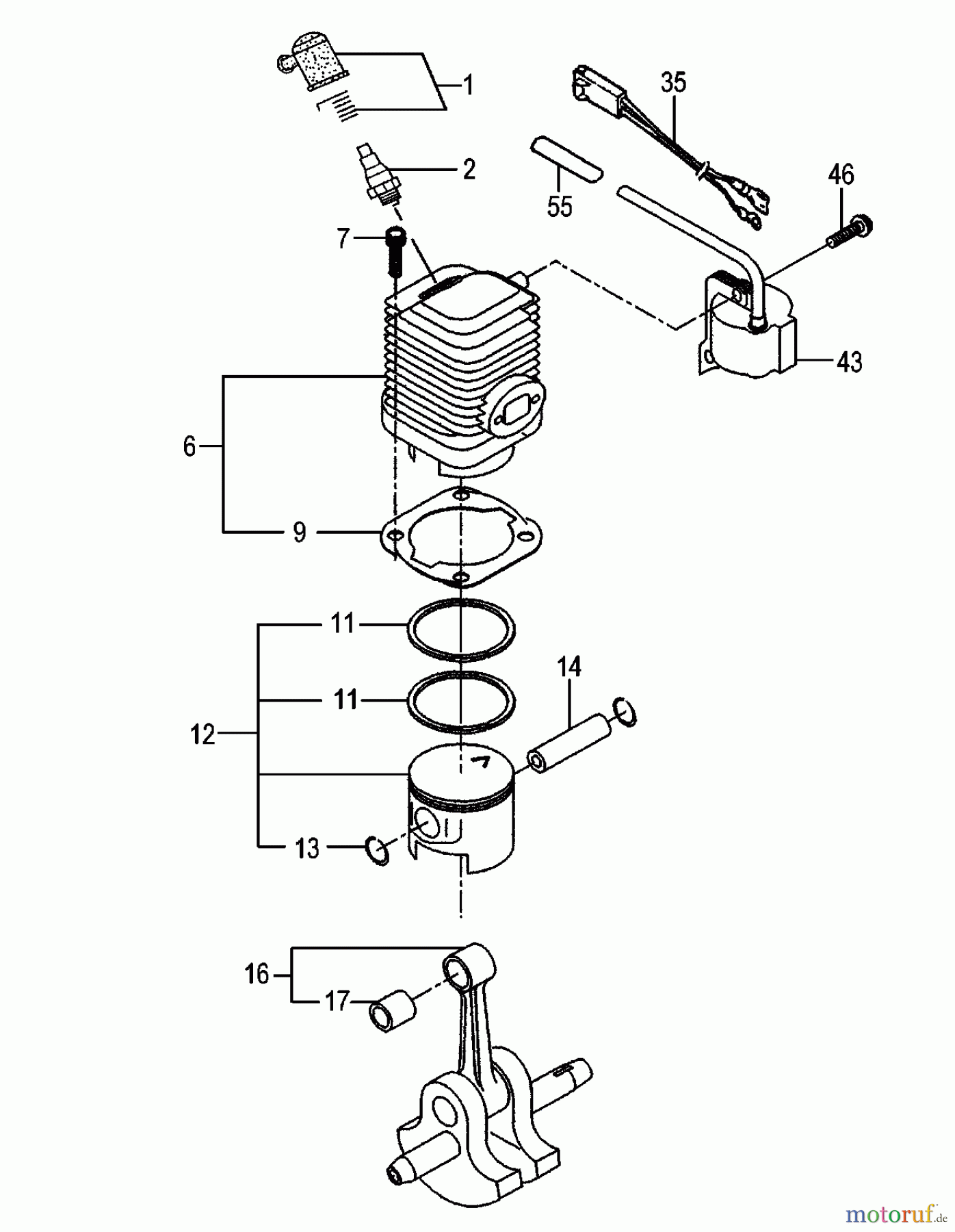 Tanaka Heckenscheeren TPH-2501 - Tanaka Articulating Pole Hedge Trimmer Engine / Cylinder, Piston, Crankshaft, Ignition