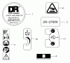 Tanaka DR-270PN - Extended Reach Pole Saw Ersatzteile Decals