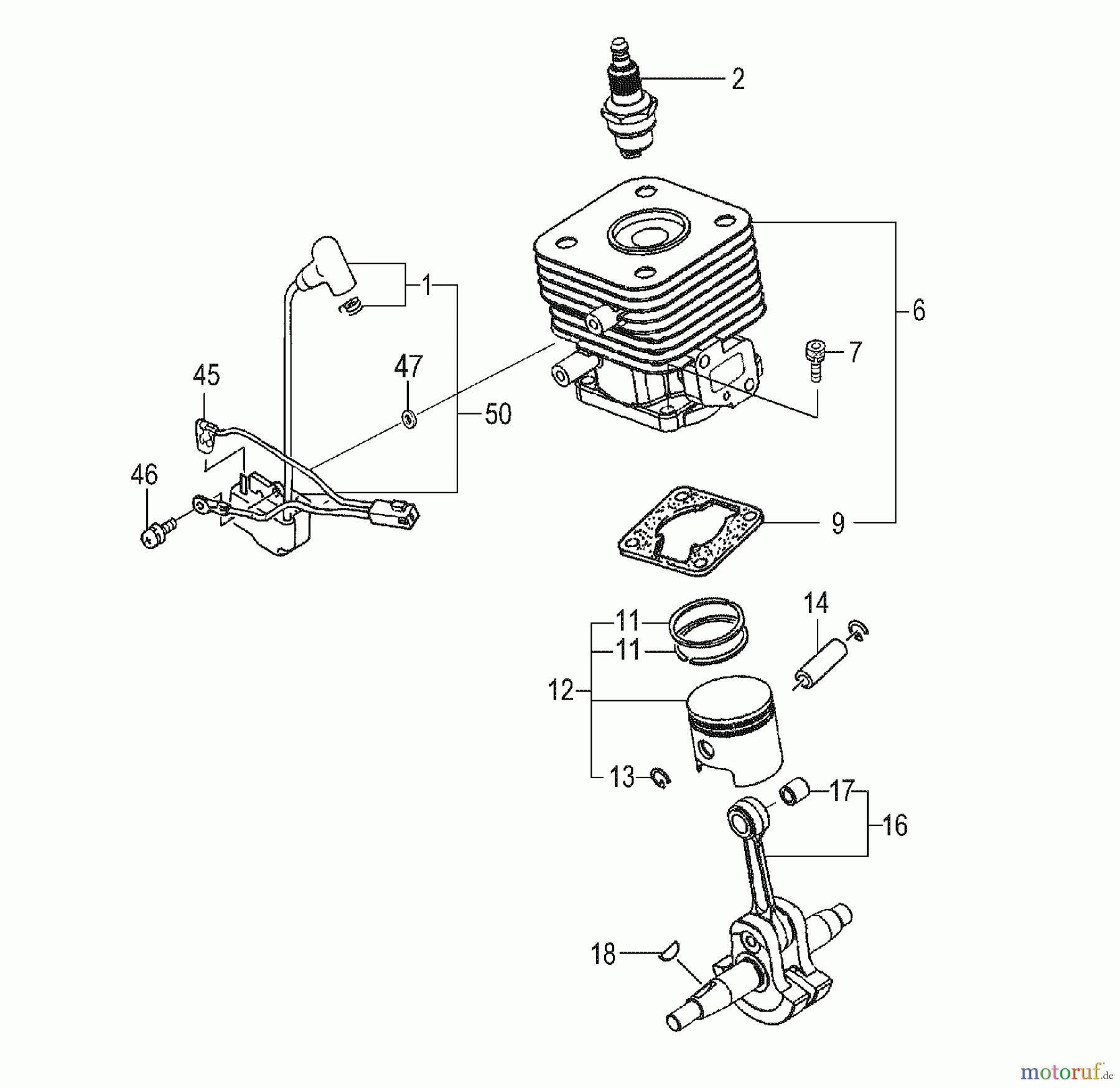 Tanaka Hochentaster TPS-250PN - Tanaka Extended Reach Pole Saw Cylinder, Piston, Crankshaft, Ignition