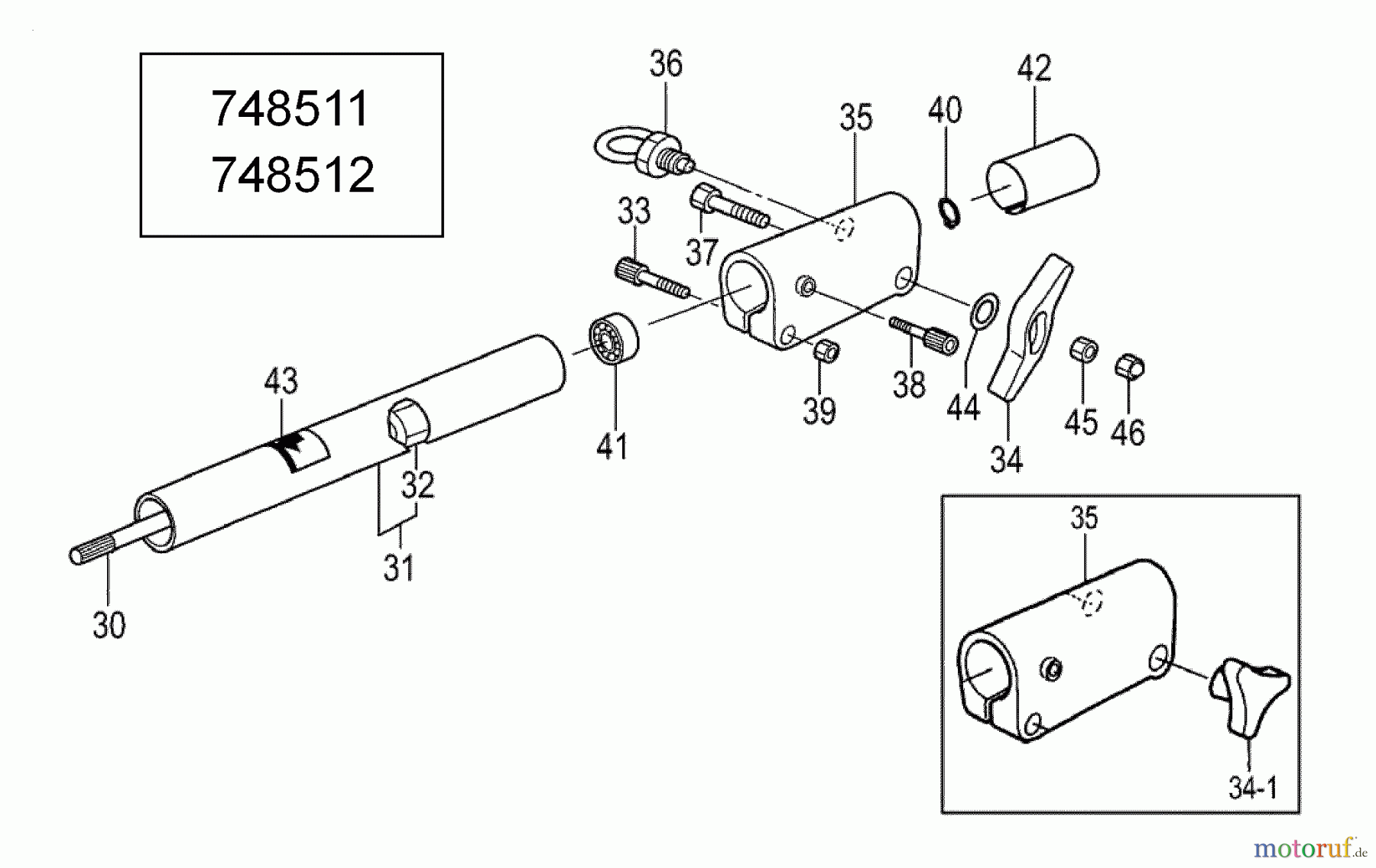 Tanaka Hochentaster TPS-260PF - Tanaka Extended Reach Pole Saw 24