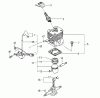 Tanaka TPS-270PN - Extended Reach Pole Saw Ersatzteile Engine / Cylinder, Piston, Crankshaft, Ignition