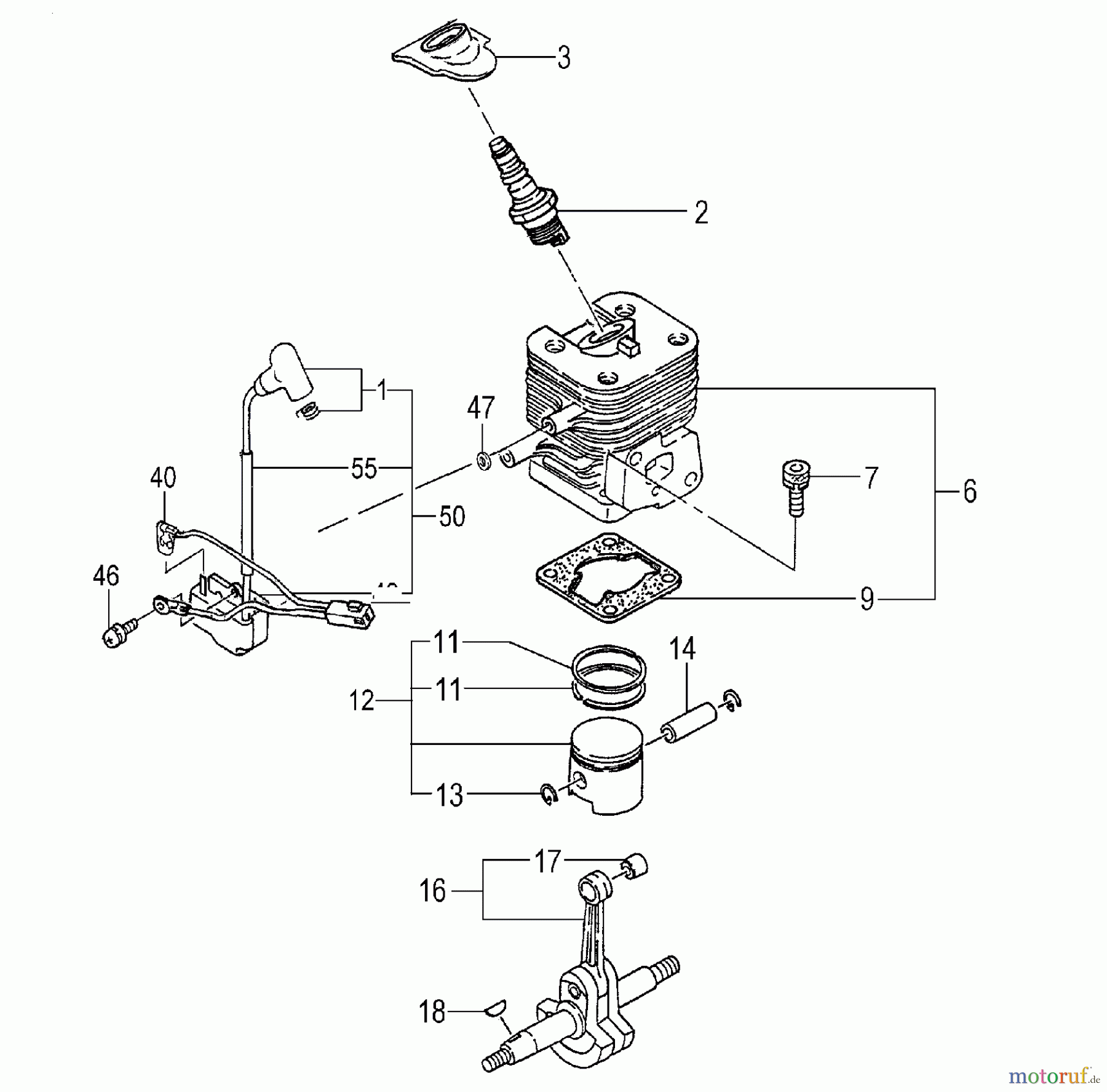 Tanaka Hochentaster TPS-270PF - Tanaka Extended Reach Pole Saw Engine / Cylinder, Piston, Crankshaft, Ignition
