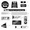 Tanaka TBC-250 - Grass Trimmer / Brush Cutter Ersatzteile Decals