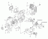Tanaka TBC-4001 - Grass Trimmer Ersatzteile Starter, Fuel System, Muffler