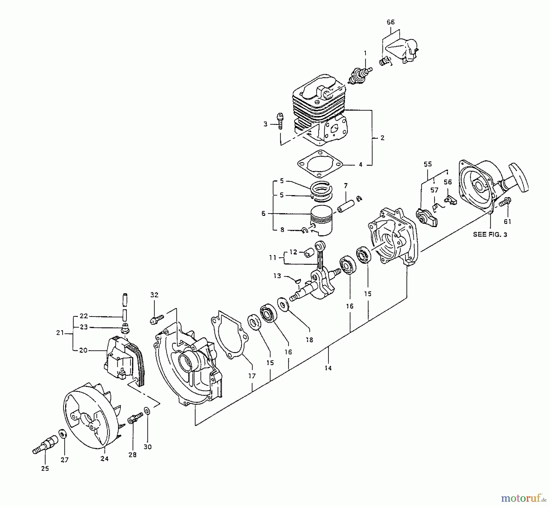 Tanaka Blasgeräte, Sauger, Häcksler, Mulchgeräte THB-2500 - Tanaka Handheld Blower Engine