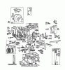 Toro 59111 - Easy Empty Grass Catcher, 1988 (8000001-8999999) Ersatzteile ENGINE BRIGGS & STRATTON MODEL NO. 191707-2161-01 8 H.P. REAR ENGINE RIDER RECOIL MODEL 56145 #1
