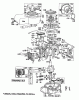 Toro 56006 - 25" Premium Rider, 1977 (7000001-7999999) Ersatzteile ENGINE BRIGGS & STRATTON MODEL 130902-0534-01