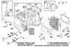 Toro 70122 (8-25) - 8-25 Rear Engine Rider, 2001 (210000001-210999999) Ersatzteile ENGINE BRIGGS & STRATTON MODEL 195707-0421-E1 #1