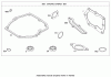 Toro 20064 - 22" Recycler Lawn Mower, 2008 (280000001-280070155) Ersatzteile ENGINE GASKET SET BRIGGS AND STRATTON 124T02-0161-B1
