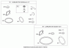 Toro 20089 - 22" Recycler Lawn Mower, 2008 (280000001-280999999) Ersatzteile CARBURETOR OVERHAUL KIT BRIGGS AND STRATTON 126L05-0213-F1