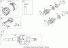 Toro 20093C - Super Recycler Lawn Mower, 2009 (290000001-290999999) Ersatzteile CRANKSHAFT ASSEMBLY BRIGGS AND STRATTON 126T02-0237-B1