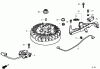 Toro 20192 - Super Bagger Lawn Mower, 2009 (290000001-290999999) Ersatzteile FLYWHEEL ASSEMBLY HONDA GCV160L AS3A