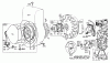 Toro 62923 - 5 hp Lawn Vacuum, 1978 (8000001-8999999) Ersatzteile REWIND STARTER