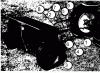 Toro UW-64 - Utility Wagon, 1960 Ersatzteile FS-36 SPREADER PARTS LIST