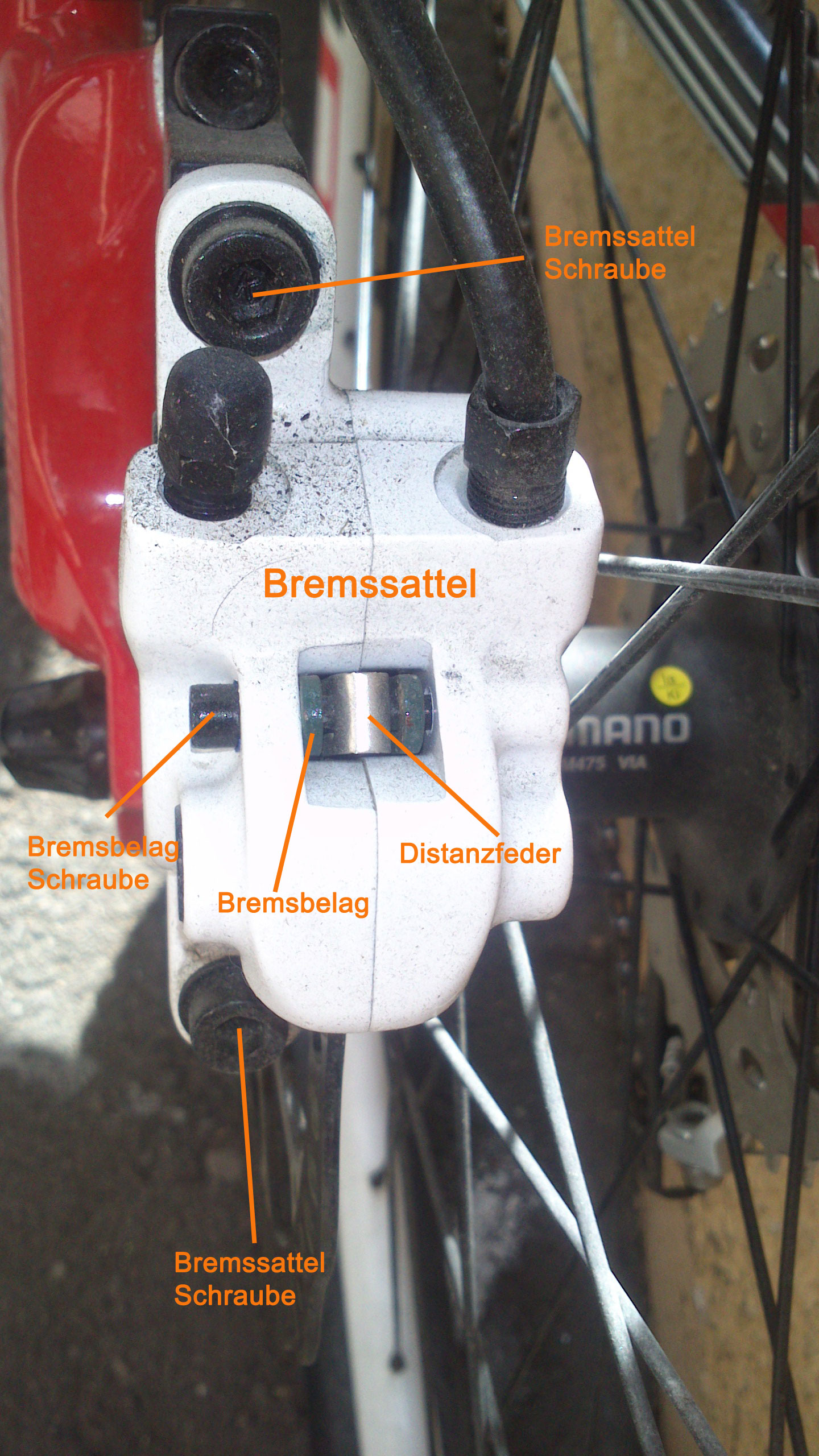 Bremssattel mit Bremsbelag, Distanzfeder und Schrauben